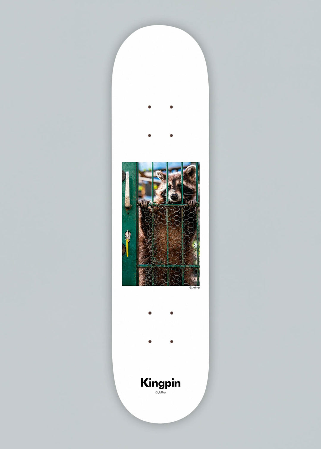 Kingpin Racoon Skateboard Deck 8.125
