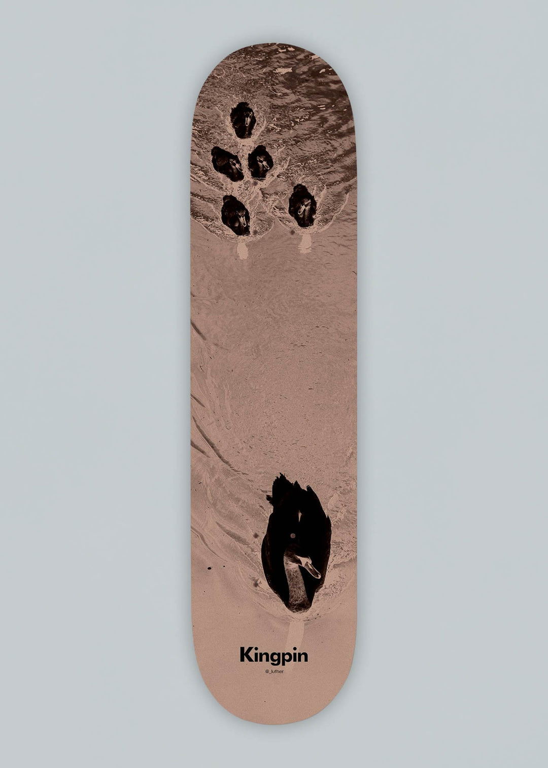 Kingpin Swans Skateboard Deck 8.5
